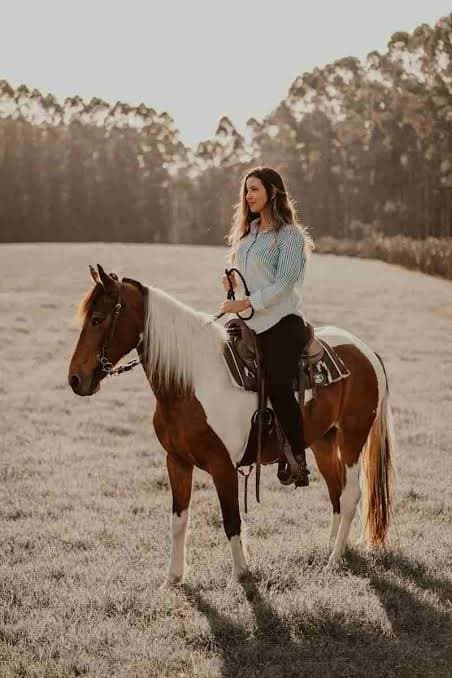 Pony Ride in Kashmir - Prices, Routes & Everything You Need to Know