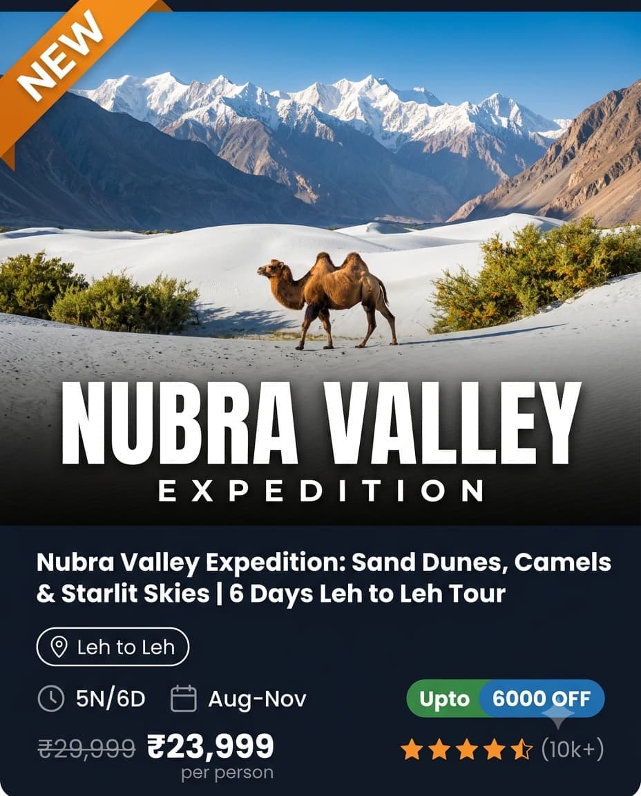 Nubra Valley Expedition: Sand Dunes, Camels & Starlit Skies