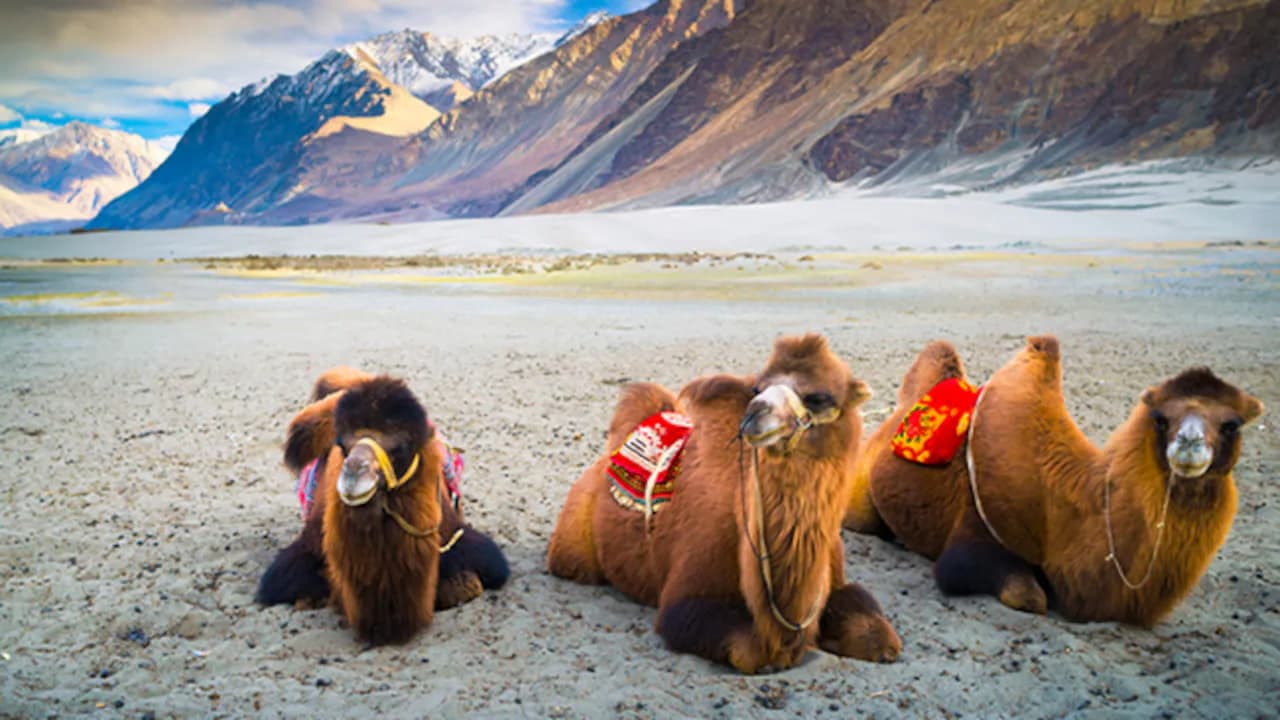 Nubra Valley