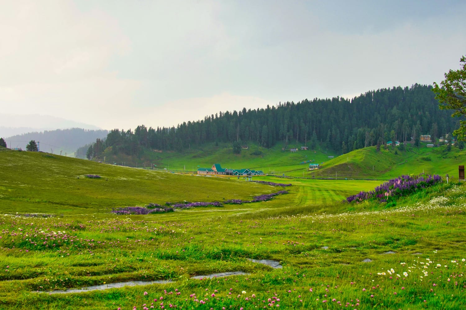 8 Offbeat Kashmir Destinations That Feel Like Another World