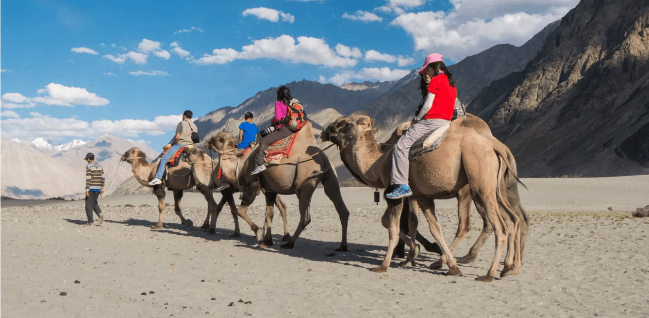 Featured image for Nubra Valley Expedition: Sand Dunes, Camels & Starlit Skies tour package