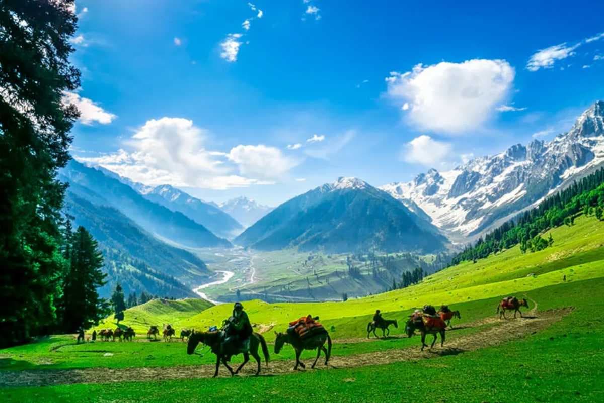 How to Negotiate in Kashmir: Cab Fares, Pony Rides, Saffron etc